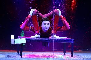 Black-Week-Aktion beim Offenburger Weihnachtscircus